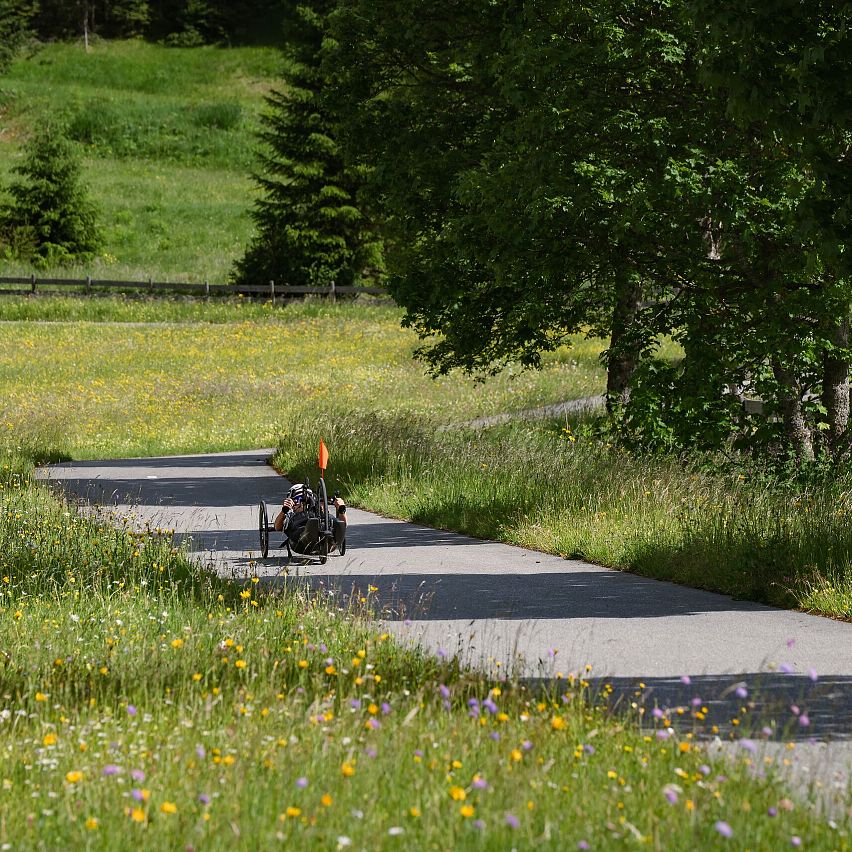 Radfahrer auf einem asphaltierten Weg in der Region Seefeld, umgeben von blühenden Wiesen.
