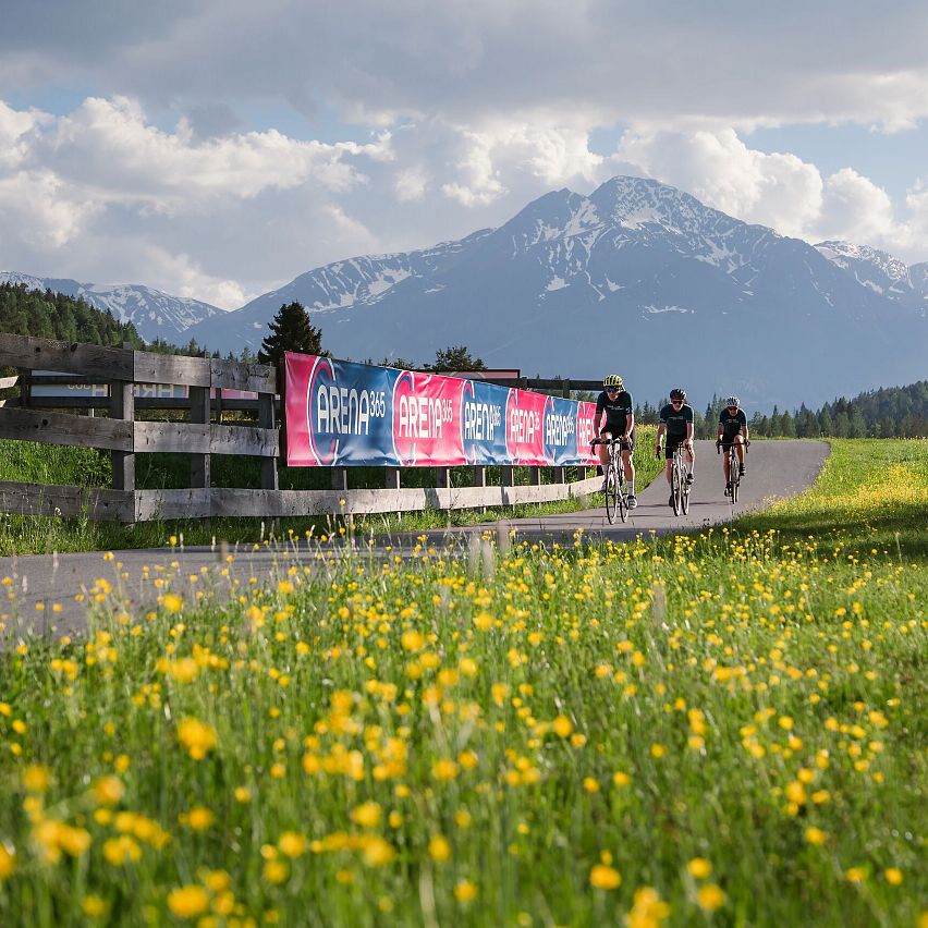 Radfahrer in der Region Seefeld mit einer blühenden Wiese und Bergen im Hintergrund.