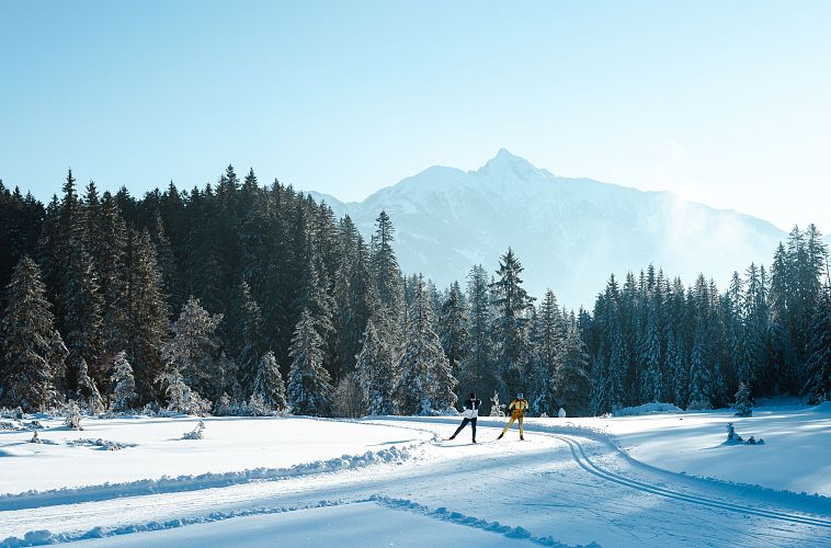 Langlaufen in der Region Seefeld - Langläufer im Wildmoos