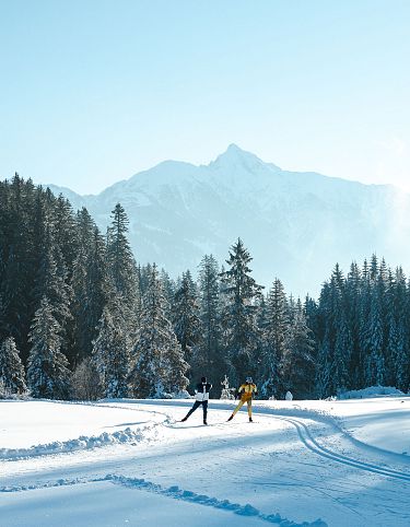 Langlaufen in der Region Seefeld - Langläufer im Wildmoos