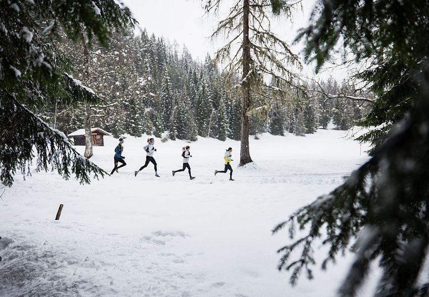 Wintertrailrunning in der Region Seefeld - Läufer in einer Reihe mit Holzhütte im Hintergrund