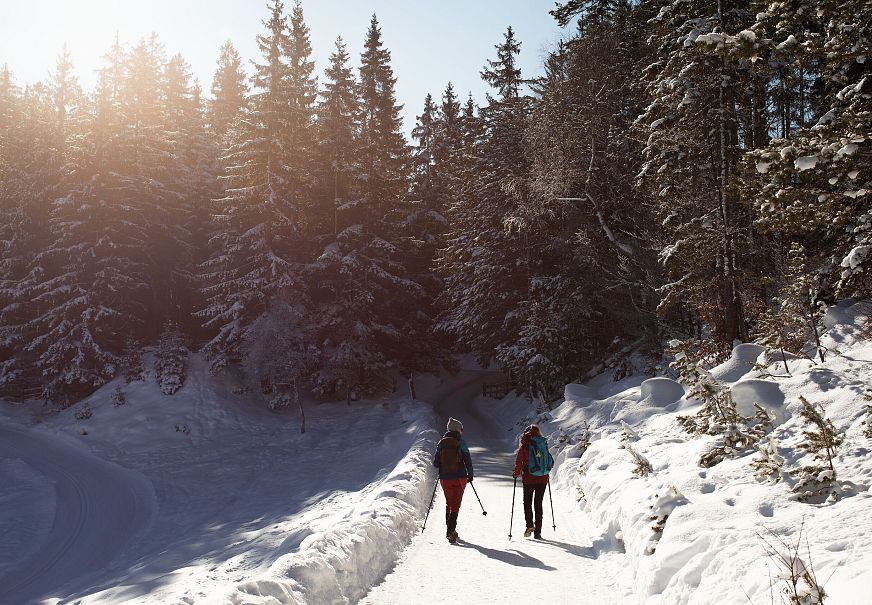 Winterwandern am Wildmoos Plateau