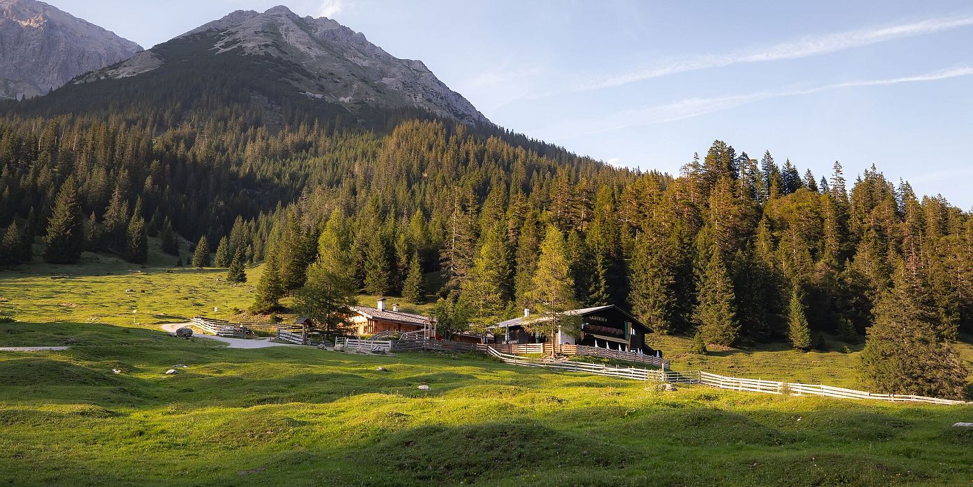 Gaistal im Sommer_Gaistalalm bei goldenem Licht