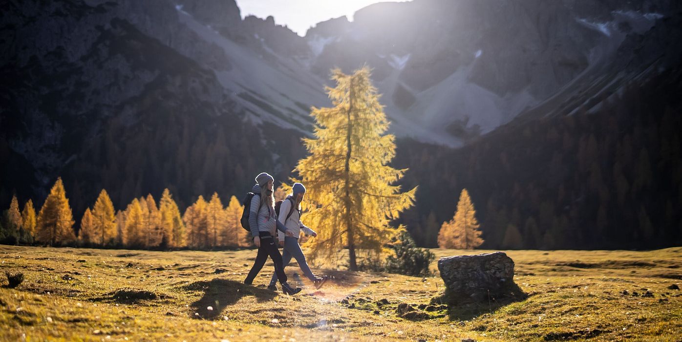 Zwei Wanderer im Herbst in den Bergen mit goldenen Lärchen und schneebedeckten Gipfeln im Hintergrund.