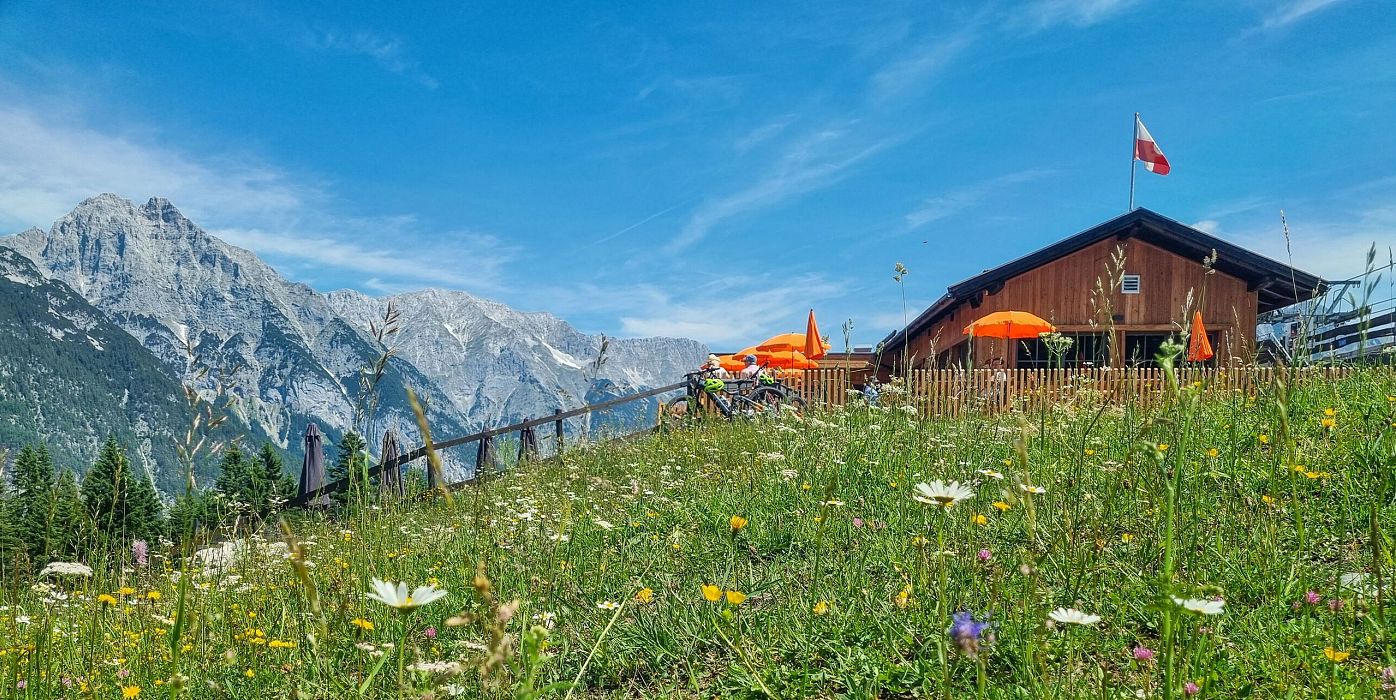 Katzenkopfhuette mit Blumenwiese im Sommer (1) (1)