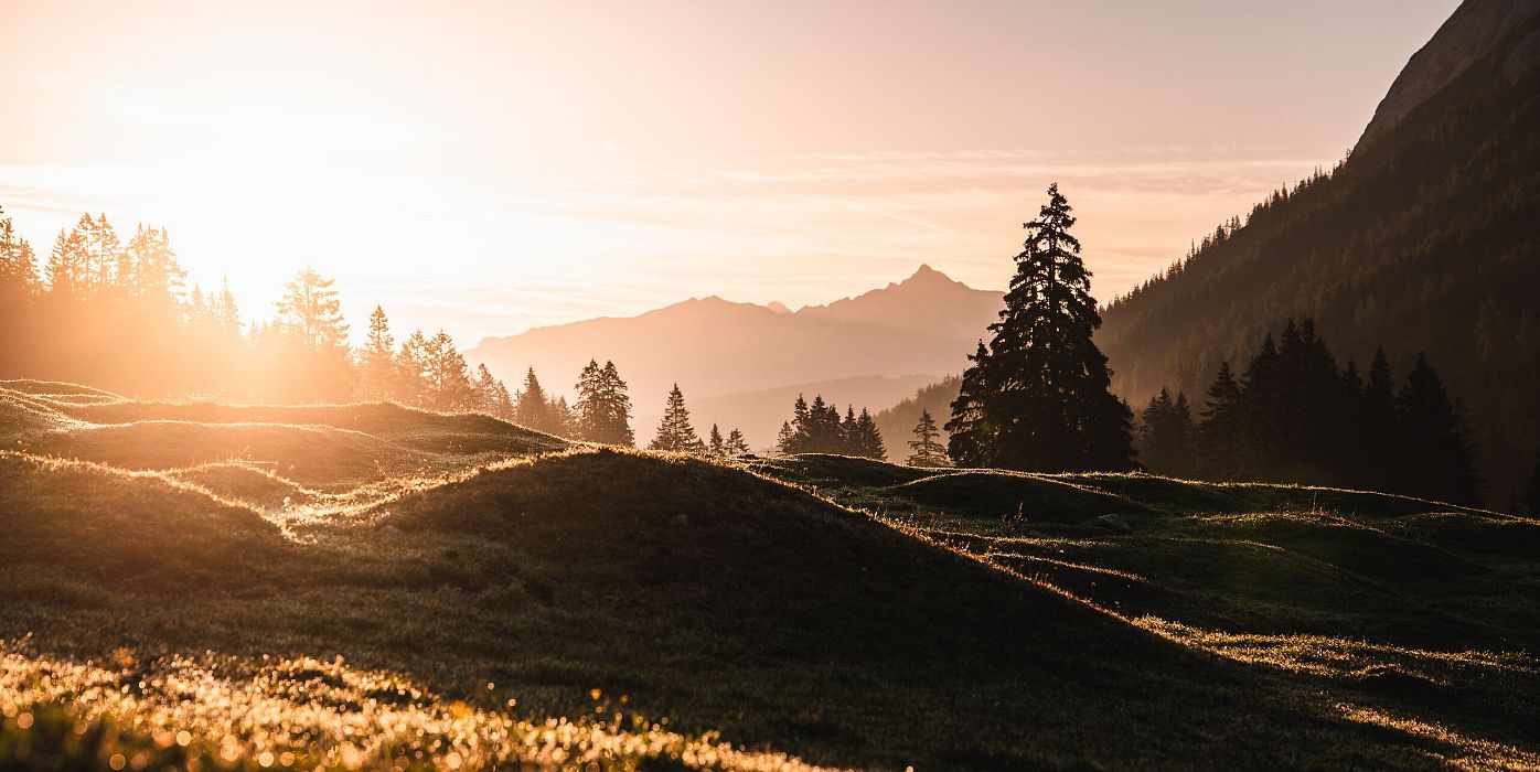 Sonnenaufgang in den Alpen mit Hügeln und Bäumen im goldenen Morgenlicht. Ideal für Natur- und Landschaftsfotografie.