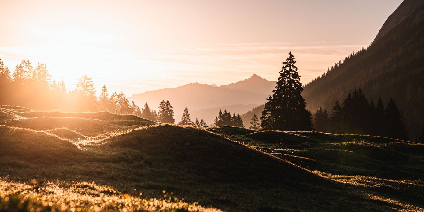 Sonnenaufgang in der hügeligen Landschaft der Region Seefeld mit Tannen im Vordergrund.