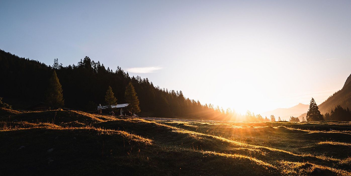 Sonnenaufgang über einer Wiese, mit Hügeln und Bäumen im Hintergrund.