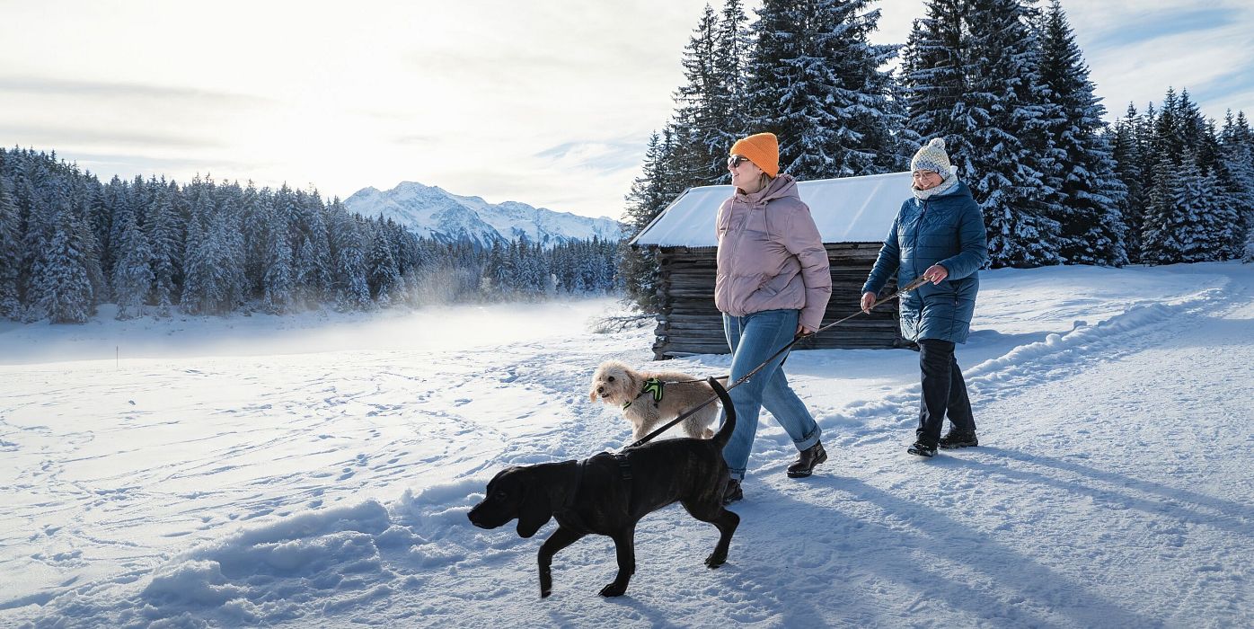 Menschen und Hunde im Schnee in der Region Seefeld. Verschneite Landschaft mit Bergen und Holzhaus.