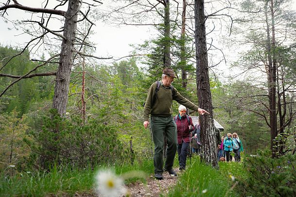 Bergfrühlingstage Leutasch 2025_Bergfrühstück_Wanderung hinauf zum Bichlwald_Hansi zeigt auf etwas