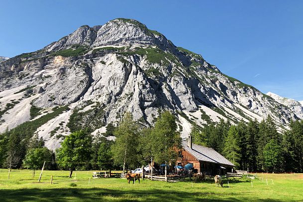 blick-auf-die-kastenalm-mit-wiese-im-vordergrund-und-berg-im-hintergrund-scharnitz-2-1