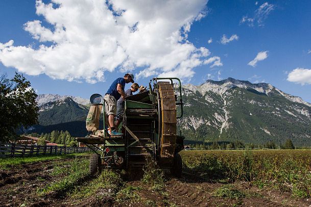 echt-regional-und-nachhaltig-plateau-produkte-aus-der-region-15-5