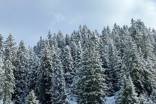 erster-schnee-auf-der-rosshuette-huette-beim-kaltwassersee-seefeld-1