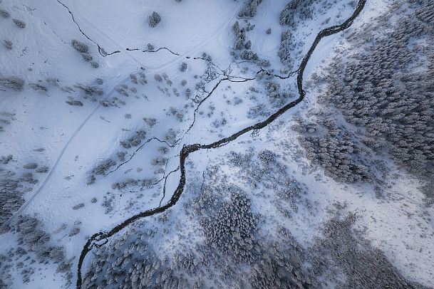 Vogelperspektive einer winterlichen Landschaft mit schneebedeckten Bäumen und einem fließenden Fluss.