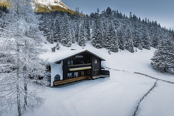 Gaistalalm im Winter - Drohnennahaufnahme von der Seite mit beschneitem Baum