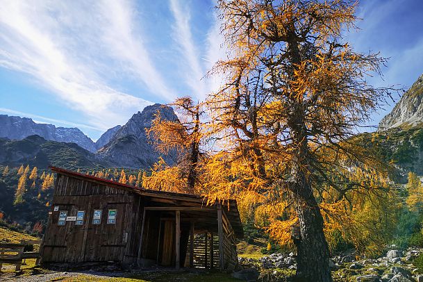 goldene-laerche-und-stadl-beim-seebensee-im-herbst-leutasch-1