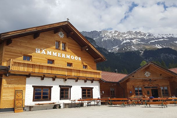 haemmermoosalm-im-sommer-im-gaistal-leutasch-1