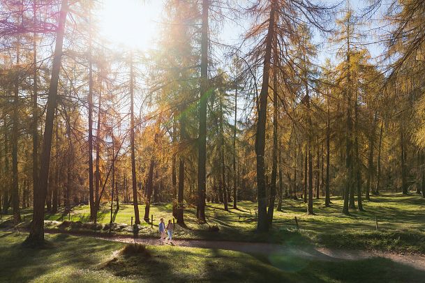 laerchenwald-in-reith-drohnenaufnahme-paar-laeuft-zur-den-wald-aufnahme-richtung-sonne-1