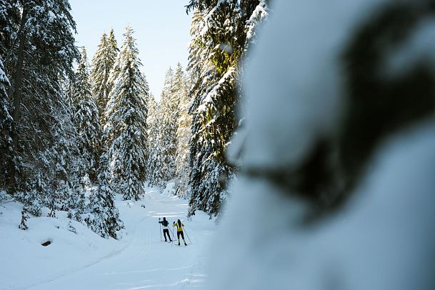 Zwei Personen in schneebedecktem Wald, umgeben von Tannenbäumen.