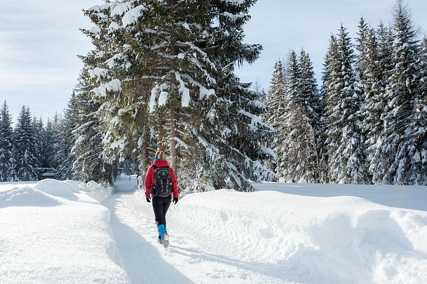 leutasch-winterwanderweg-15-katzenloch-4-1