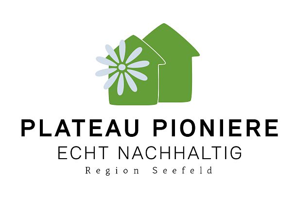 logo-plateaupioniere-v1-04-1