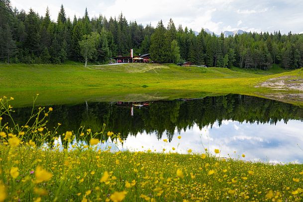Lottensee im Frühsommer - See und Hütte mit vielen gelben Blumen im Vordergrund