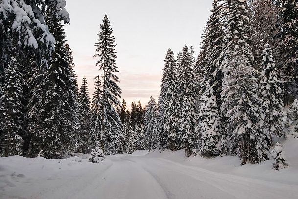 neuschnee-im-wildmoos-wanderweg-wildmoos-1