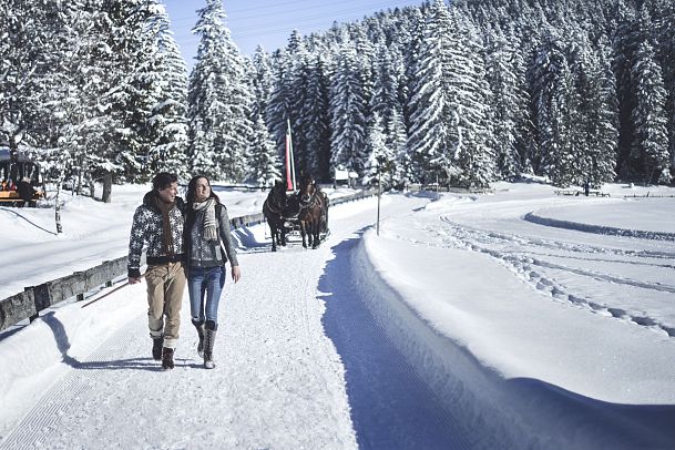 paar-spaziergang-vor-kutsche-2-1