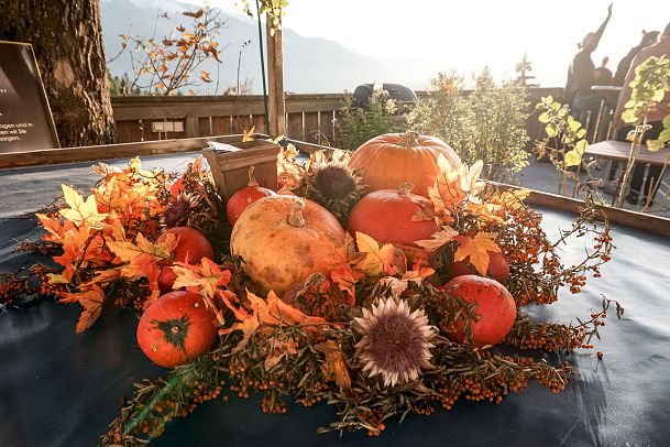 ropferstub-m-herbststimmung-c-olympiaregion-seefeld-tessa-mellinger-1