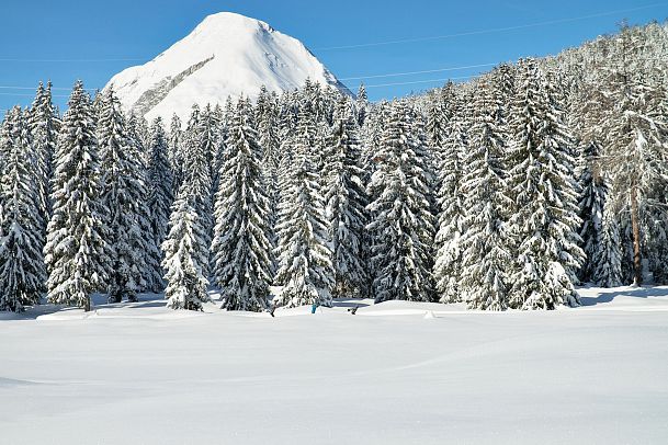 seefeld-tirol-werbung-aitzetmueller-johannes-seefeld-1-1