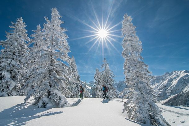 skitour-im-karwendel-zwischen-den-baeumen-scharnitz-1