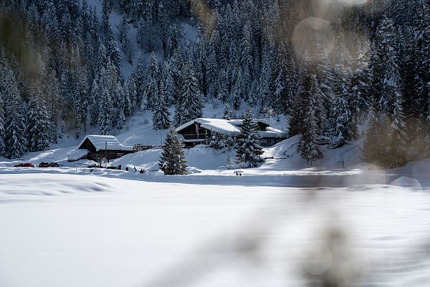 Sound of Seefeld - Wildmoosalm im Winter - Echt dynamisch (1)