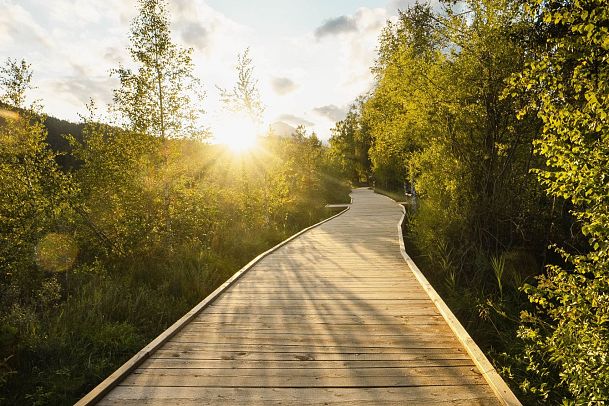 steg-zum-wildsee-im-reither-moor-spazierweg-beim-sonnenuntergang-10