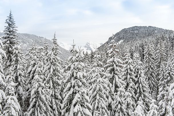 Weitwandern Etappe 2 Baumkronen