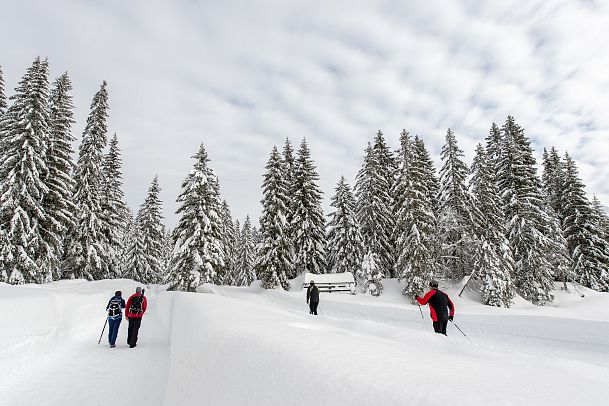 weitwandern-etappe-2-teilnehmer-und-langlaeufer-2-1