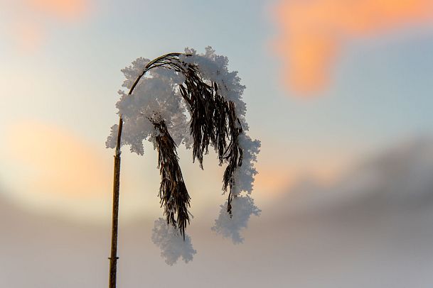 weitwandern-etappe-3-gras-mit-schnee-1-6