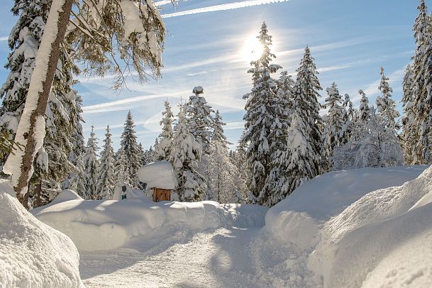 weitwandern-etappe-3-winterlandschaft-10-2