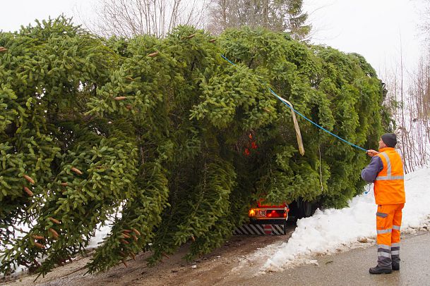 wie-der-seefelder-weihnachtsmarkt-zu-seinem-christbaum-kam-eine-vorweihnachtsgeschichte-2-1