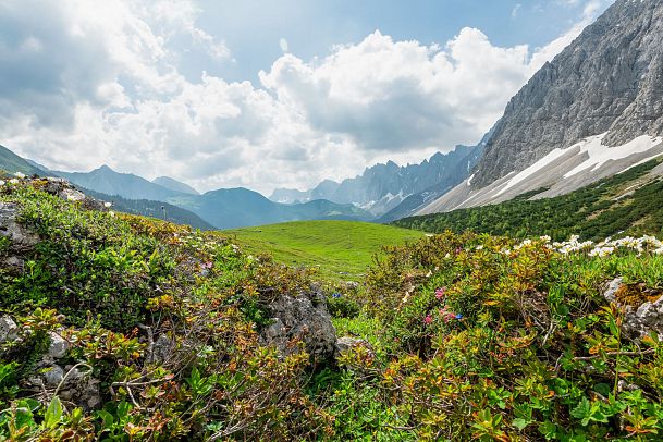 wiese-im-karwendel-scharnitz-5-1