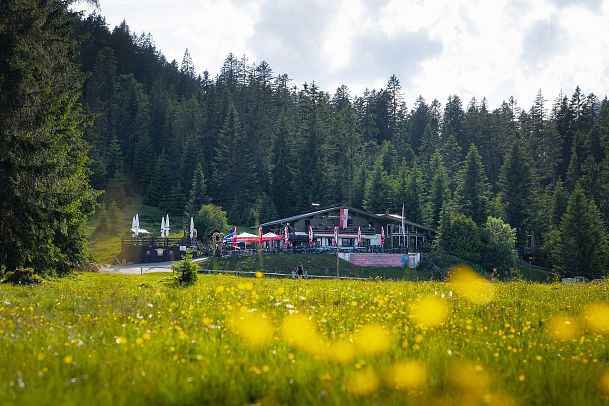 Wildmoosalm im Sommer - Blick auf die Alm mit gelben verschwommenen Blumen im Vordergrund