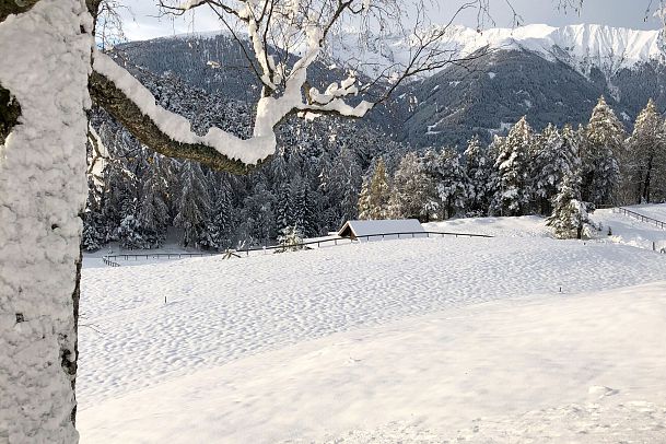 winterlandschaft-in-leithen-bei-reith-bei-seefeld-1