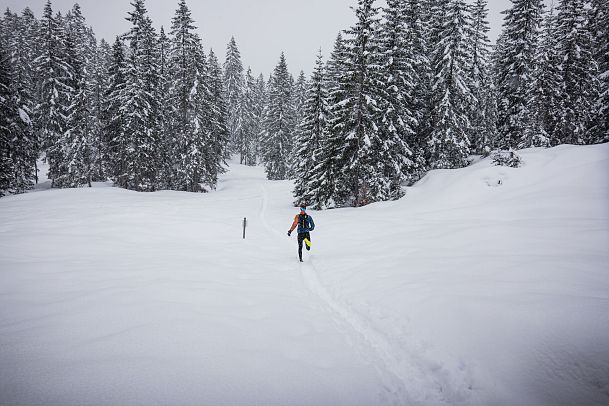 wintertrailrunning-in-der-region-seefeld-abseits-der-wege-laeufer-laeuft-alleine-in-den-wald-in-traumhafter-winterlandschaft-1