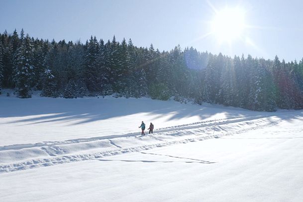 Winterwandern im Schnee (1) (1)