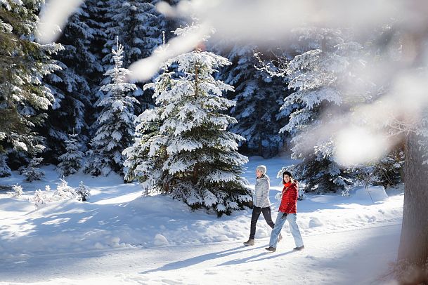 Winterwandern im Wildmoos_zwei Frauen laufen im Wald_verschneite Äste im Vordergrund
