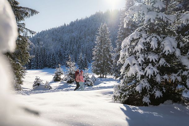 Winterwandern in der Region Seefeld_Mann und Frau laufen wandern im Wildmoos_Lichtung bei Wildmoosalm_Aufnahme von der Seite mit Ästen im Vordergrund