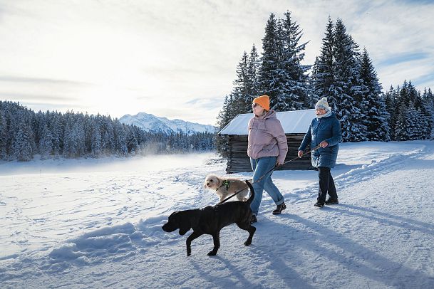 Winterwandern mit Hund im Wildmoos_zwei Frauen mit Hunden laufen auf Wanderweg bei der Ferienheim-Lichtung vor Stadl (1)