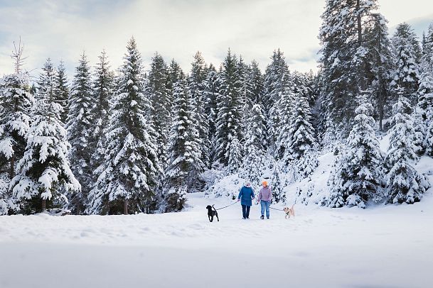 Winterwandern mit Hund im Wildmoos_zwei Frauen mit Hunden laufen im Fludertal_verschneite Bäume im Hintergrund