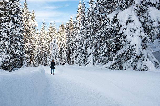 winterwanderweg-seefeld-triendlsaege-1