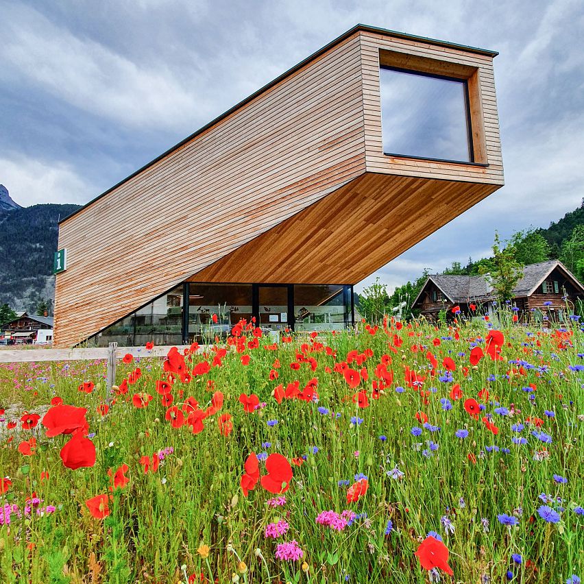 Modern wooden building surrounded by a field of red poppies and blue flowers.