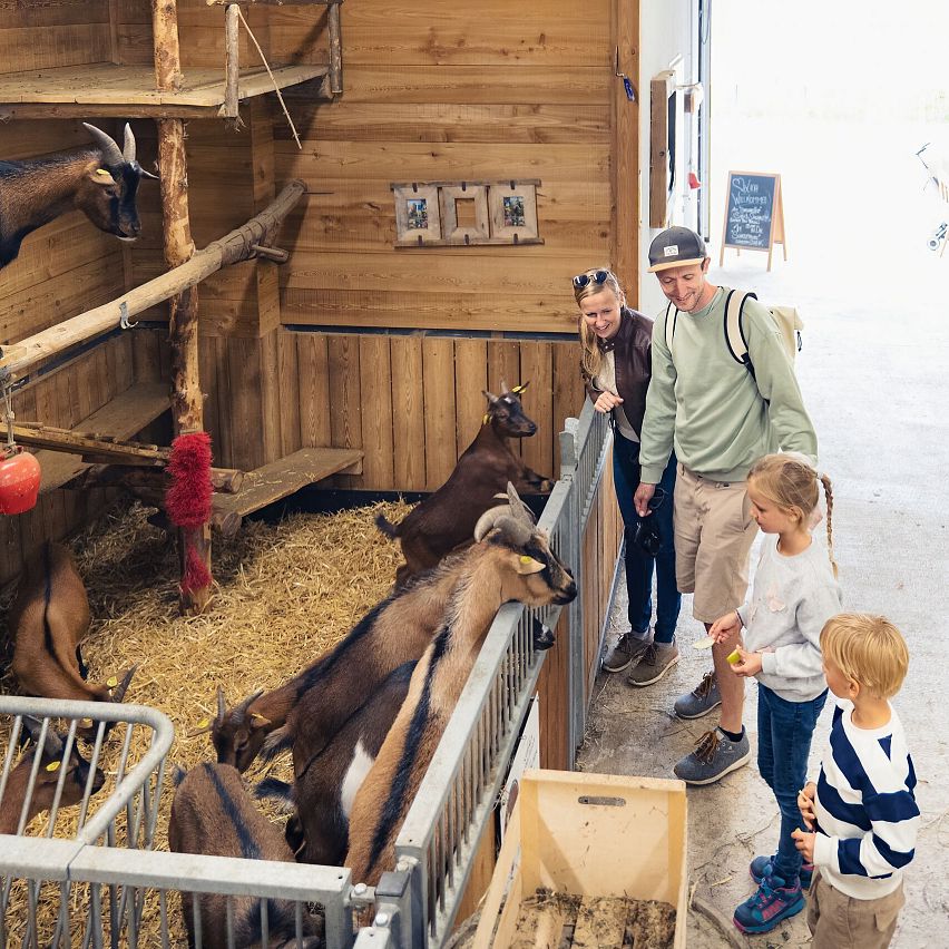 Familienurlaub in der Region Seefeld - Familie bei Sigis Sauhaufen